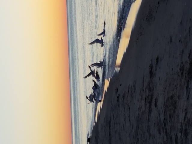 20170624_054600