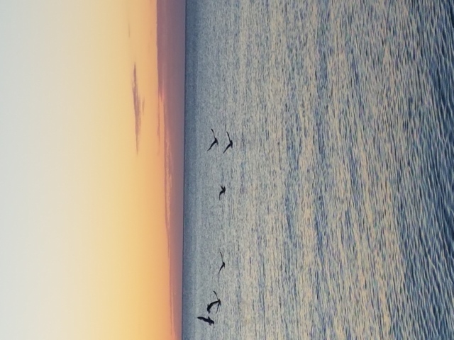 20170624_054605