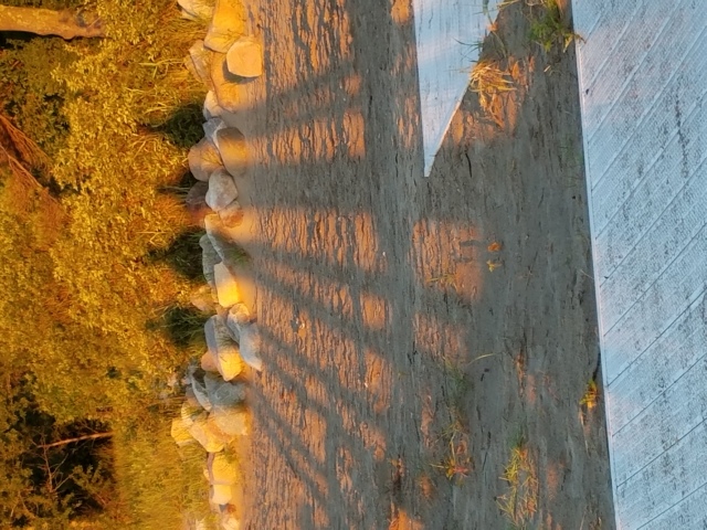 20170624_055928