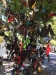 051.JPG Oct  5 13:35:56 2017