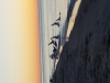 20170624_054600.jpg Feb 17 23:20:01 2018