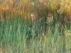 20170624_055459.jpg Jun 24 05:54:59 2017
