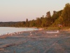 20170624_055525.jpg Jun 24 05:55:25 2017