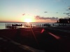 20170624_060218.jpg Jun 24 06:02:17 2017