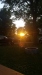 20170624_210933.jpg Jun 24 21:09:32 2017