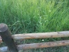 20170624_212725.jpg Jun 24 21:27:25 2017