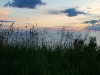 20170624_212823.jpg Jun 24 21:28:23 2017