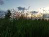 20170624_213400.jpg Jun 24 21:33:59 2017