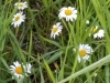 20170624_213421.jpg Jun 24 21:34:21 2017