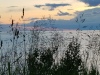 20170624_213648.jpg Jun 24 21:36:48 2017