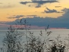 20170624_213655.jpg Jun 24 21:36:55 2017
