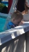 20170701_173758.jpg Jul  1 17:37:58 2017