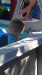 20170701_173807.jpg Jul  1 17:38:06 2017