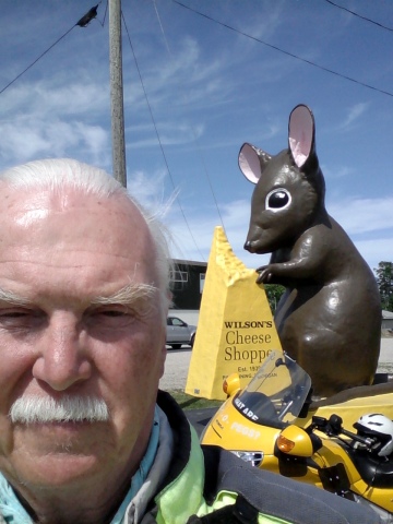 MouseCheese