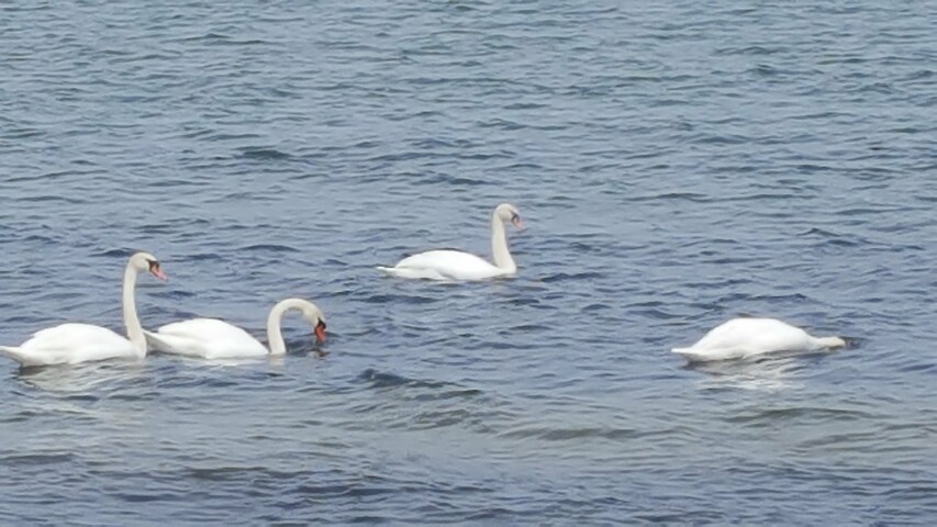 20180509_141640