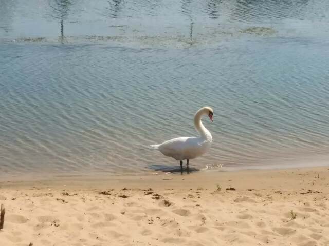 20180823_143901