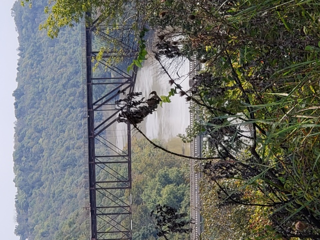 20181006_134130