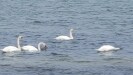 20180509_141640.jpg Feb 18 13:55:39 2019