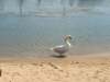 20180823_143901.jpg Feb 18 13:58:30 2019