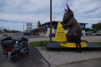 IMGP4568.JPG Feb 18 14:48:18 2019