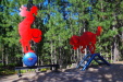IMGP4642.JPG Feb 18 15:15:33 2019