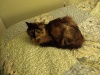 Meatloaf-IMG_20181231_224927550.jpg Feb 18 16:02:15 2019