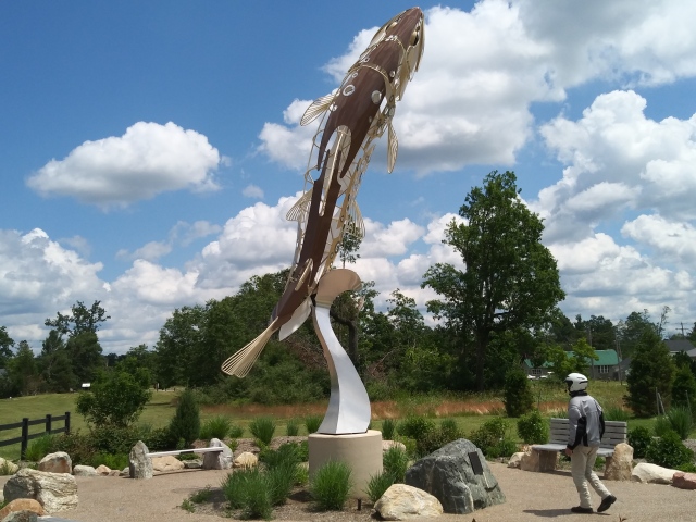 20190629_141231
