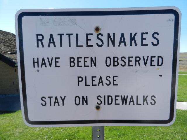 29Warning