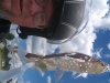 20190629_141259.jpg Feb 16 00:27:18 2020