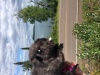 41.jpg Feb 16 00:34:07 2020