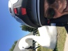 CBBigSwanStatue.jpg Feb 16 00:36:39 2020