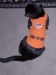 HPIM0359.jpg Feb 16 00:58:49 2020