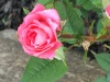 img_1166.jpg Feb 16 01:04:19 2020