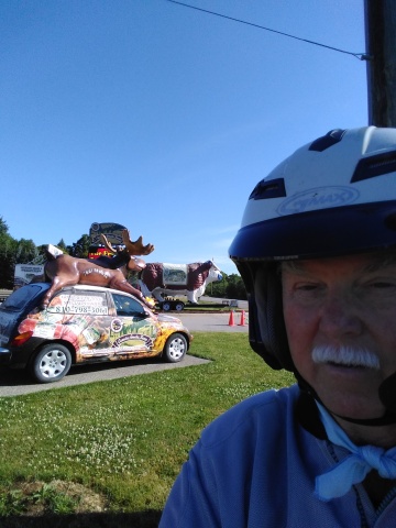 2-Big-Steer-and-Moose-Car