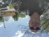 20200524_151033.jpg May 27 18:35:55 2020